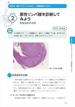 61ZdXC+RP6L._AC_UF350, 61ZdXC+RP6L._AC_UF350,